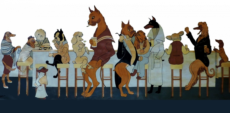 Actualité page d’accueil